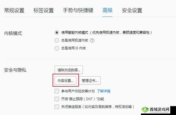 浏览器直接进入网站的注意事项：必知要点