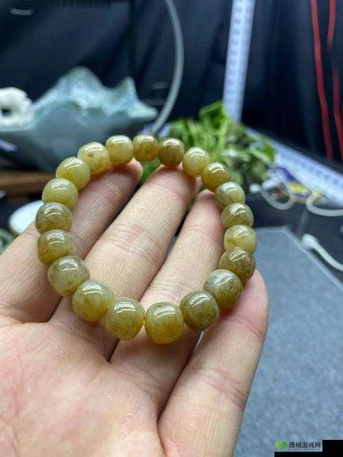 杨大壮和田桂花的第二十九：儿子的困境