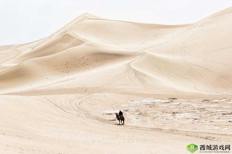 美梦视频大全免费观看：海量精彩梦境等你探索