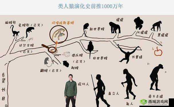 人马是马还是人？揭秘人马族的神秘起源